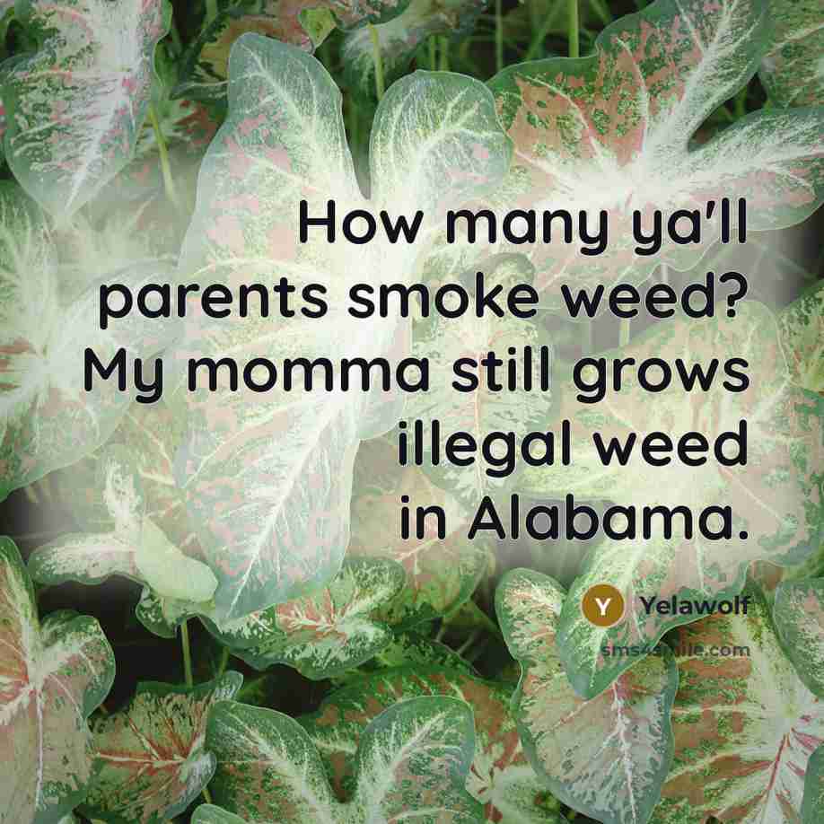 “How many ya'll parents smoke weed? My momma still grows…” quote by Yelawolf