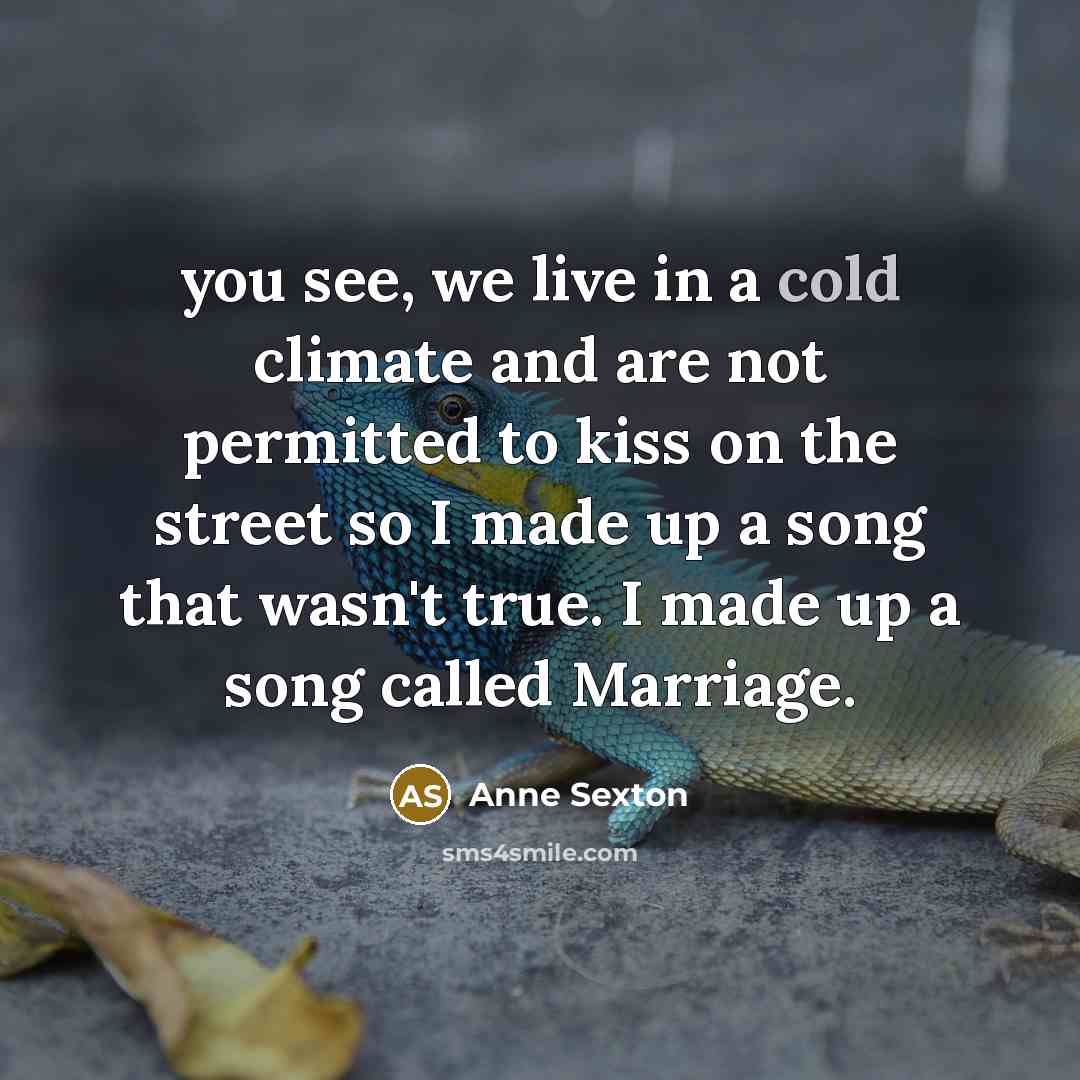 “you see, we live in a cold climate and are…” quote by Anne Sexton