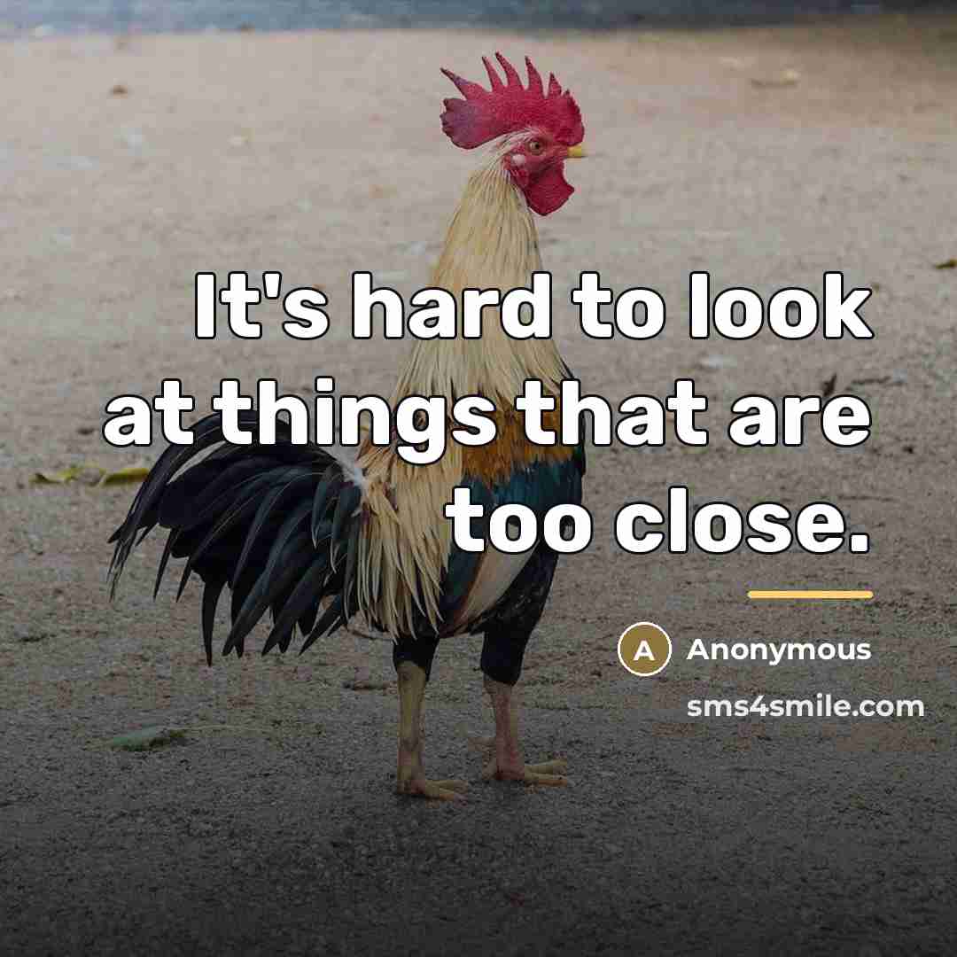 “It's hard to look at things that are too close.…” quote by Anonymous