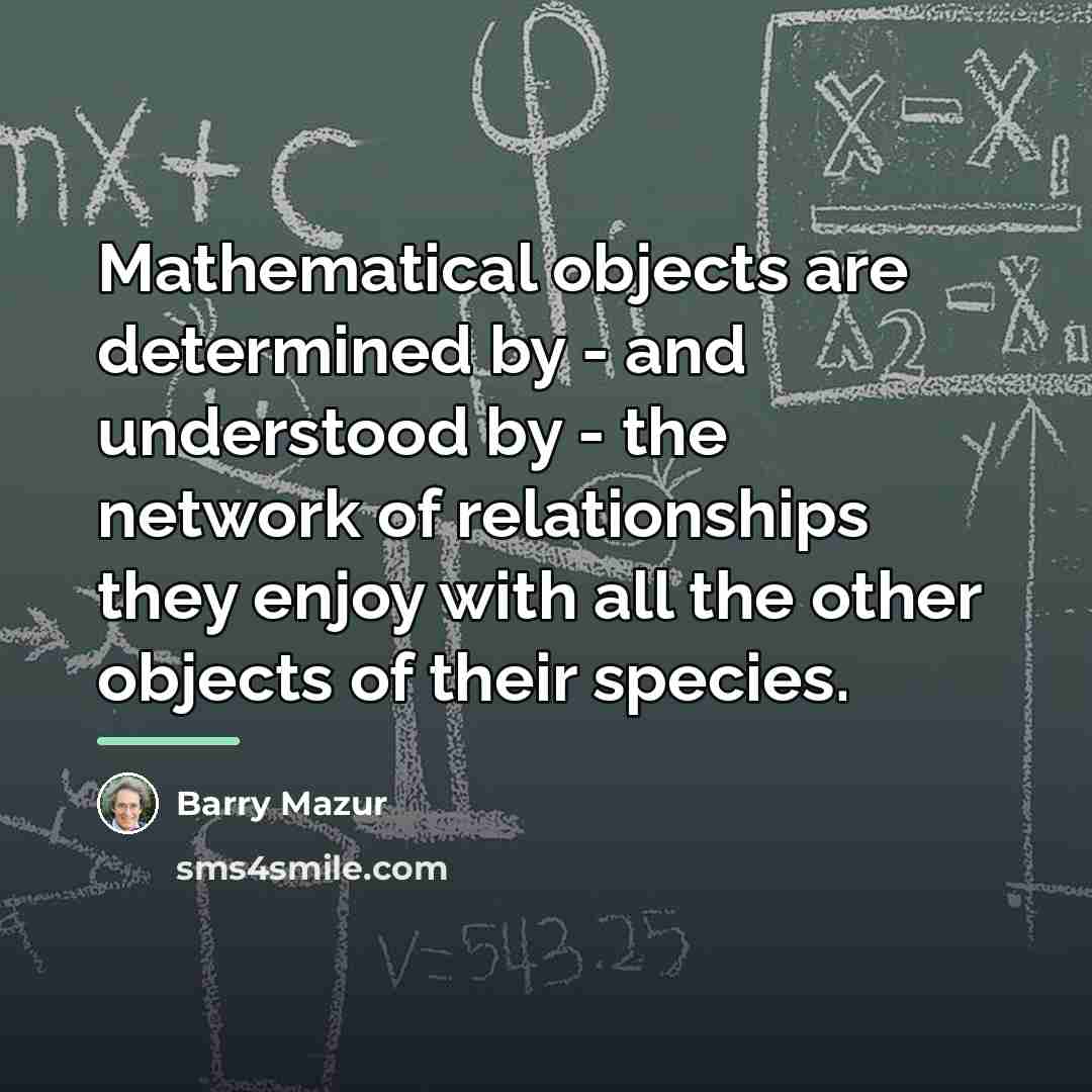 “Mathematical objects are determined by - and understood by -…” quote by Barry Mazur