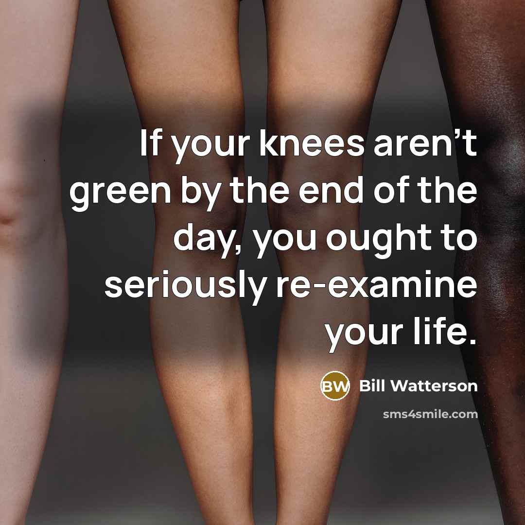 “If your knees aren't green by the end of the…” quote by Bill Watterson