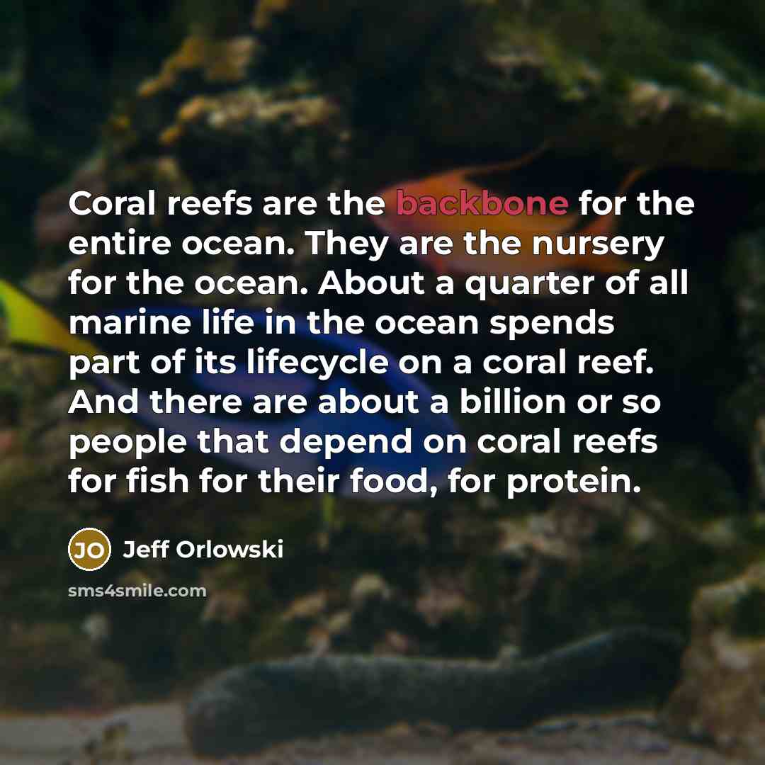“Coral reefs are the backbone for the entire ocean. They…” quote by Jeff Orlowski