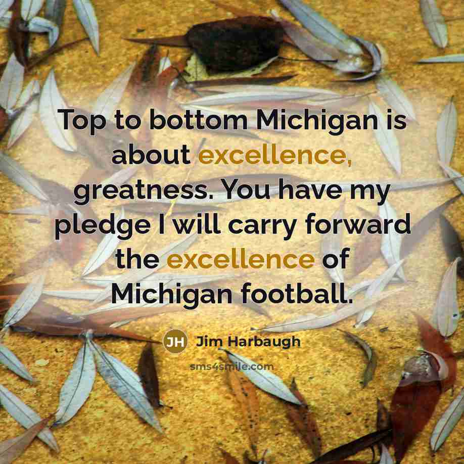 “Top to bottom Michigan is about excellence, greatness. You have…” quote by Jim Harbaugh