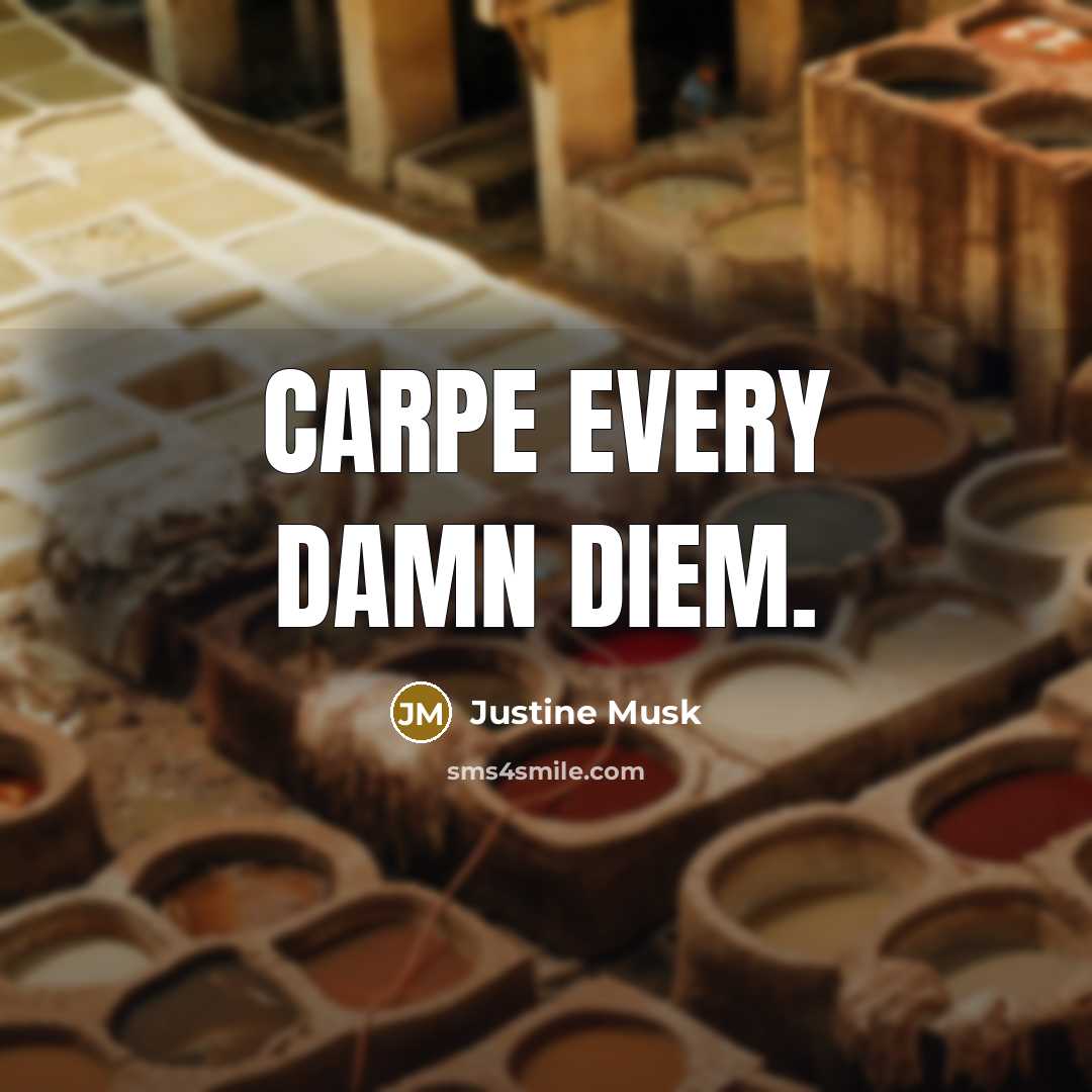 “Carpe every damn diem.…” quote by Justine Musk