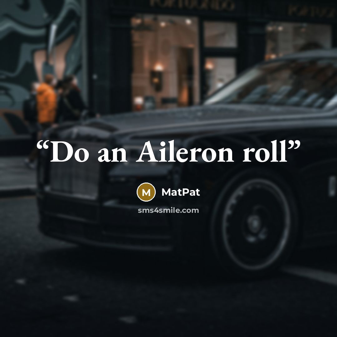 “Do an Aileron roll” quote by MatPat
