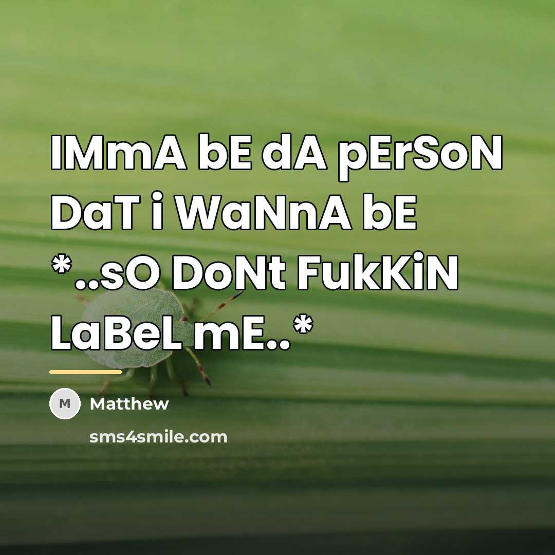 “IMmA bE dA pErSoN DaT i WaNnA bE *..sO DoNt…” quote by Matthew