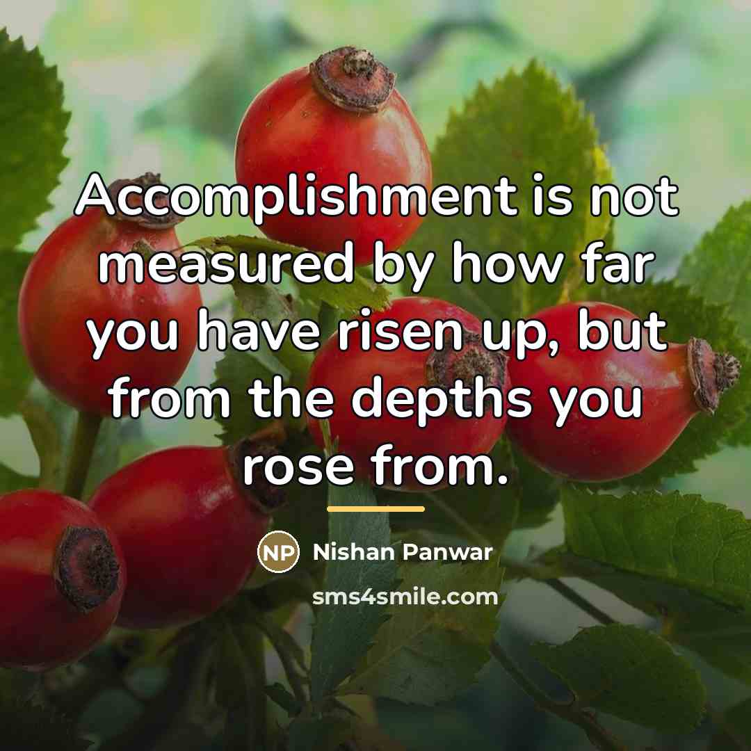 “Accomplishment is not measured by how far you have risen…” quote by Nishan Panwar