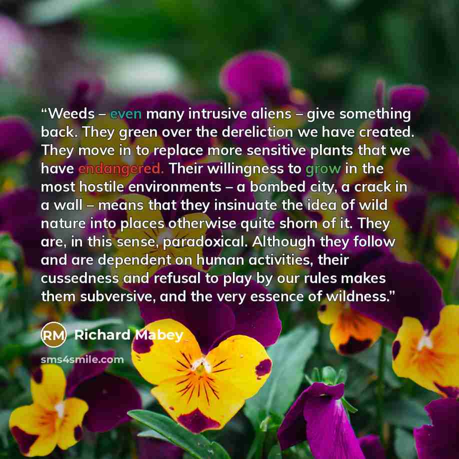 “Weeds – even many intrusive aliens – give something back. They green over the dereliction we have created. They move in to replace more sensitive plants that we have endangered. Their willingness to grow in the most hostile environments – a bombed city, a crack in a wall – means that they…” quote by Richard Mabey