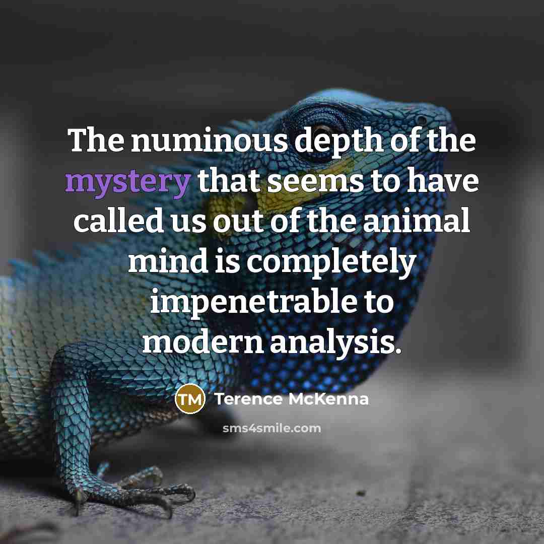 “The numinous depth of the mystery that seems to have…” quote by Terence McKenna