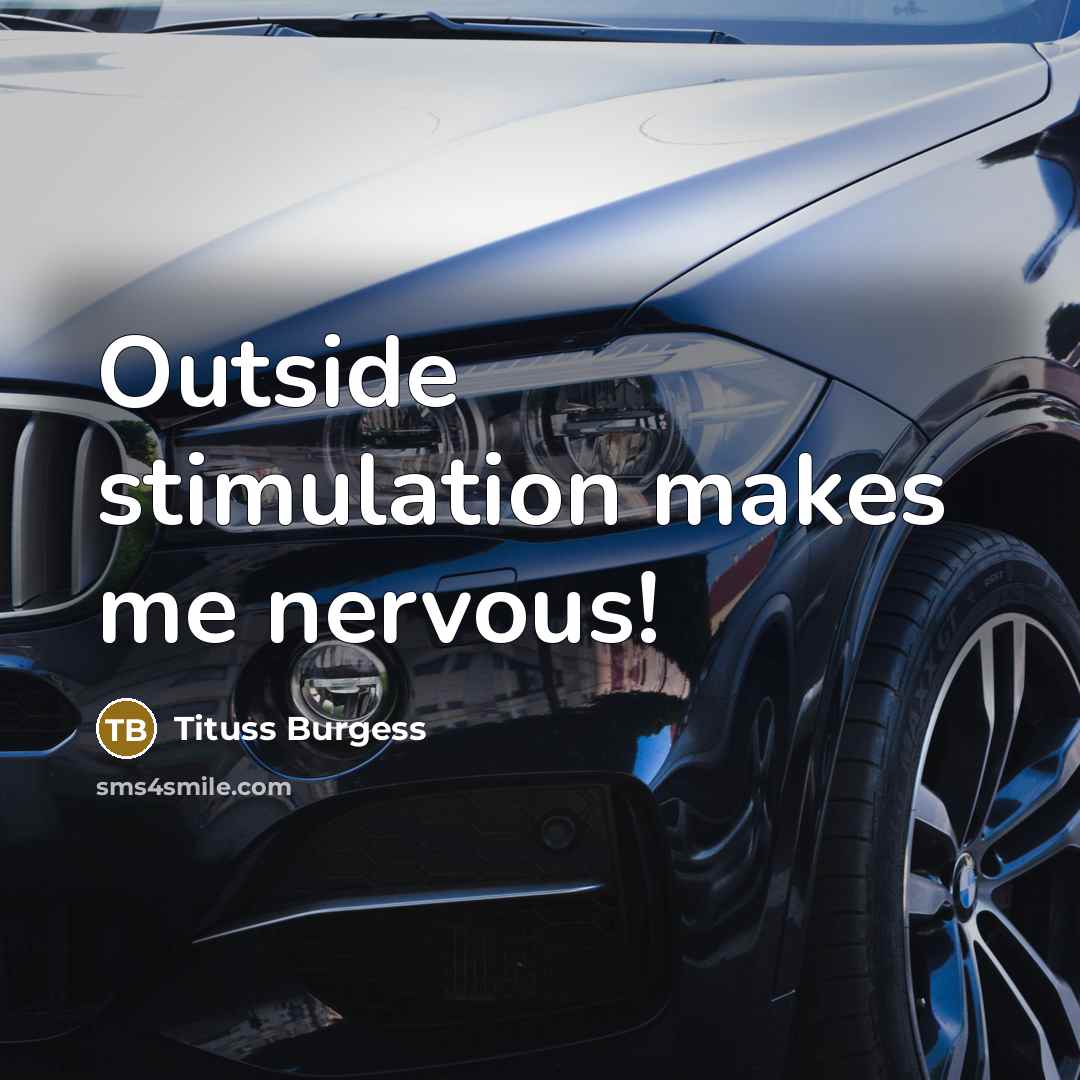 “Outside stimulation makes me nervous!…” quote by Tituss Burgess