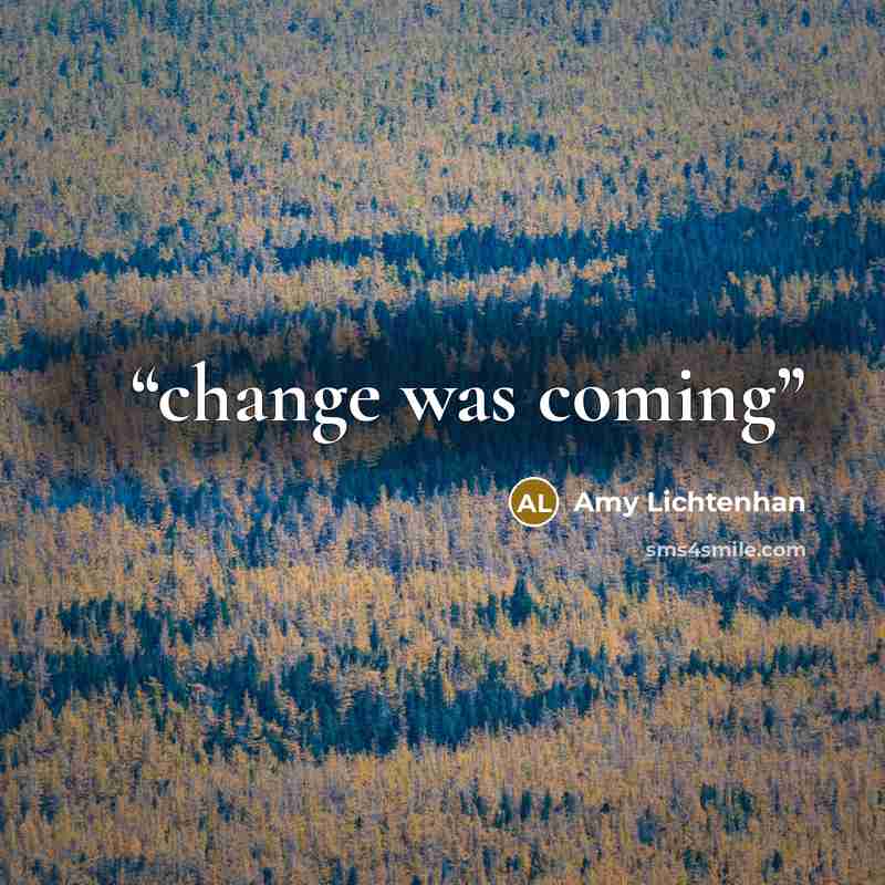 “change was coming” quote by Amy Lichtenhan