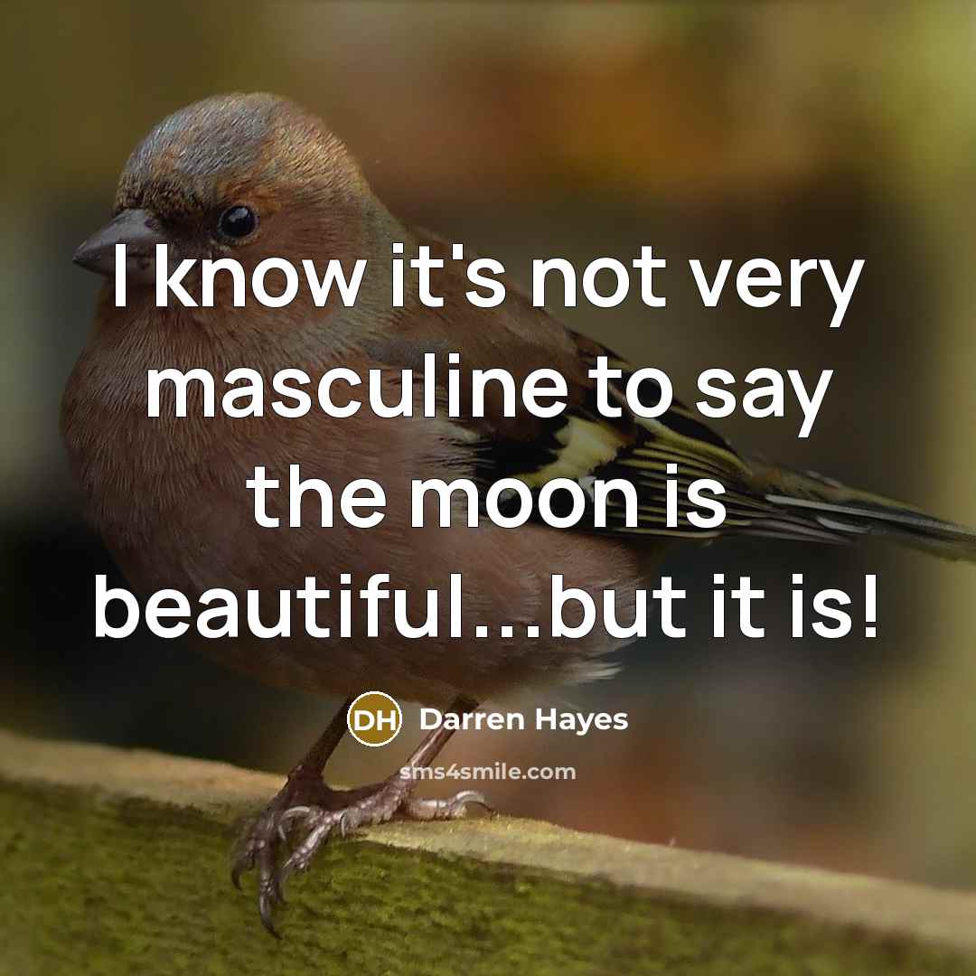 “I know it's not very masculine to say the moon…” quote by Darren Hayes