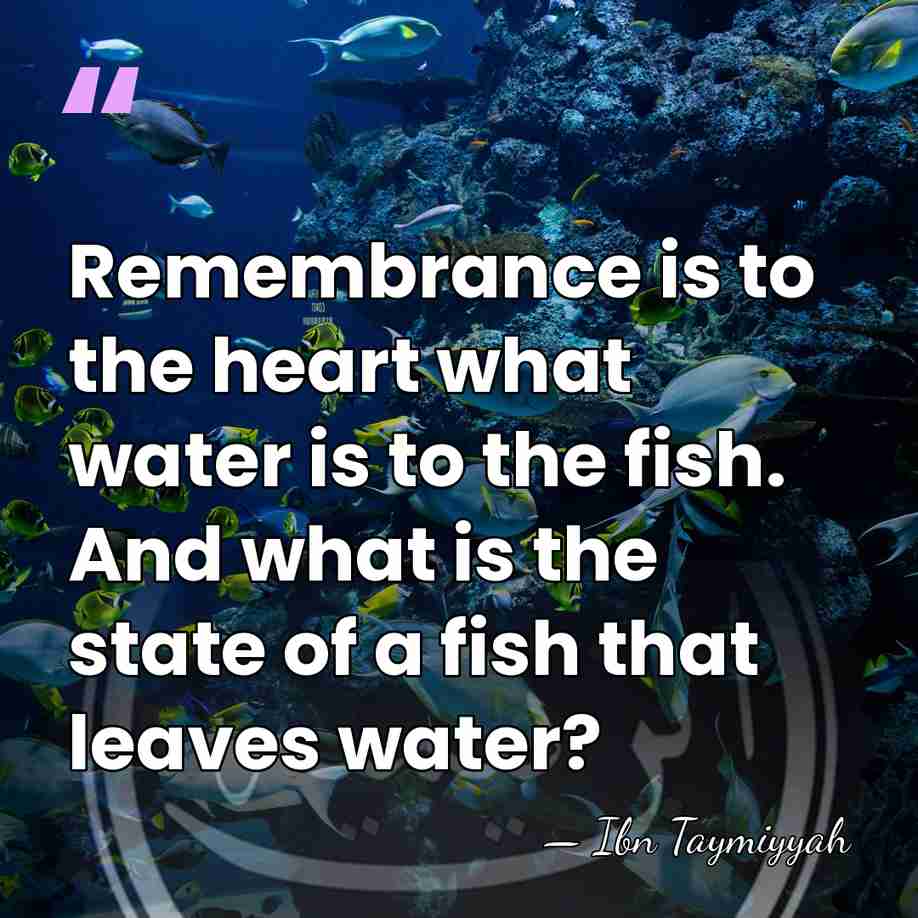 Remembrance is to the heart what water is to the fish. And&hellip; - Ibn Taymiyyah