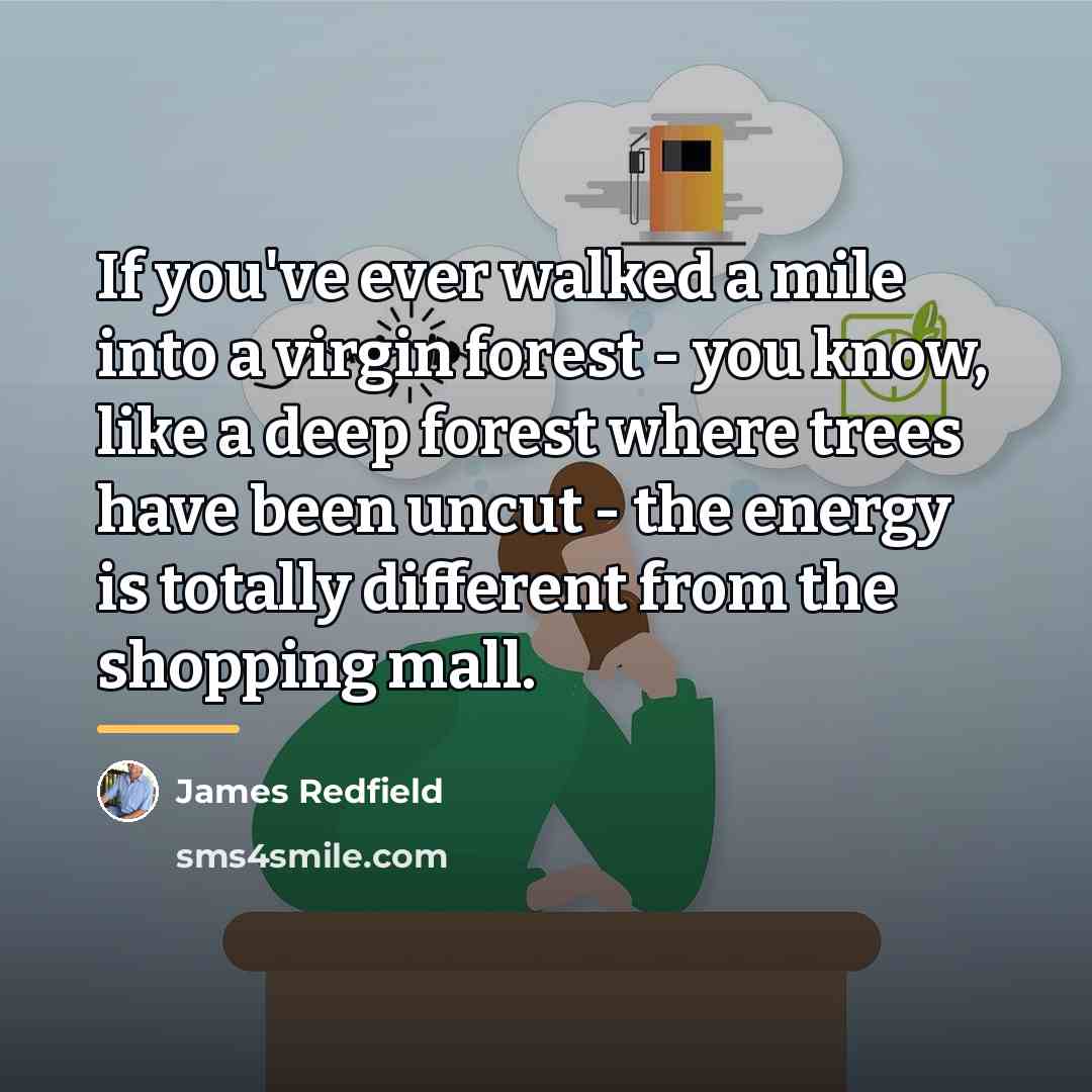 “If you've ever walked a mile into a virgin forest…” quote by James Redfield