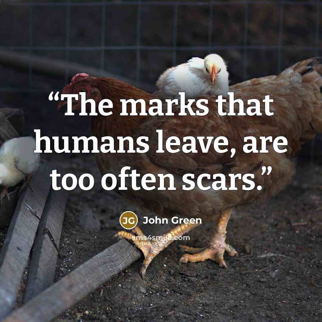 “The marks that humans leave, are too often scars.” quote by John Green