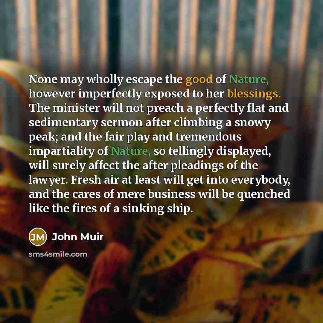 “None may wholly escape the good of Nature, however imperfectly…” quote by John Muir