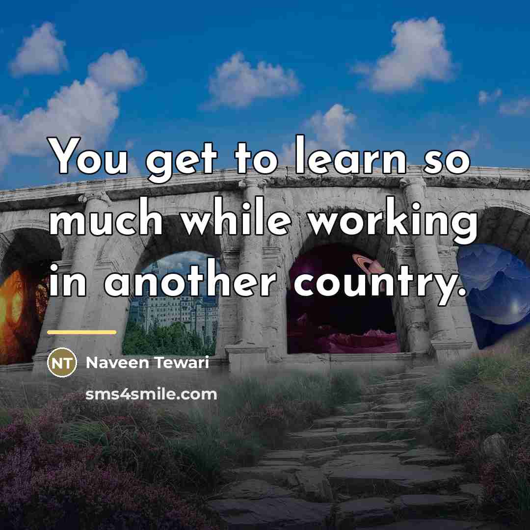 “You get to learn so much while working in another…” quote by Naveen Tewari