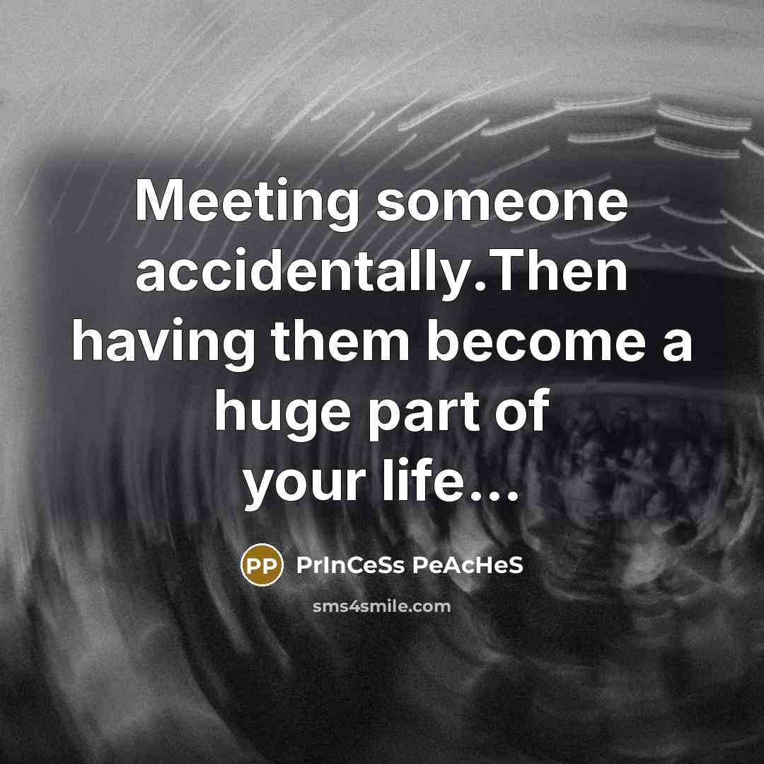 “Meeting someone accidentally.Then having them become a huge part of…” quote by PrInCeSs PeAcHeS