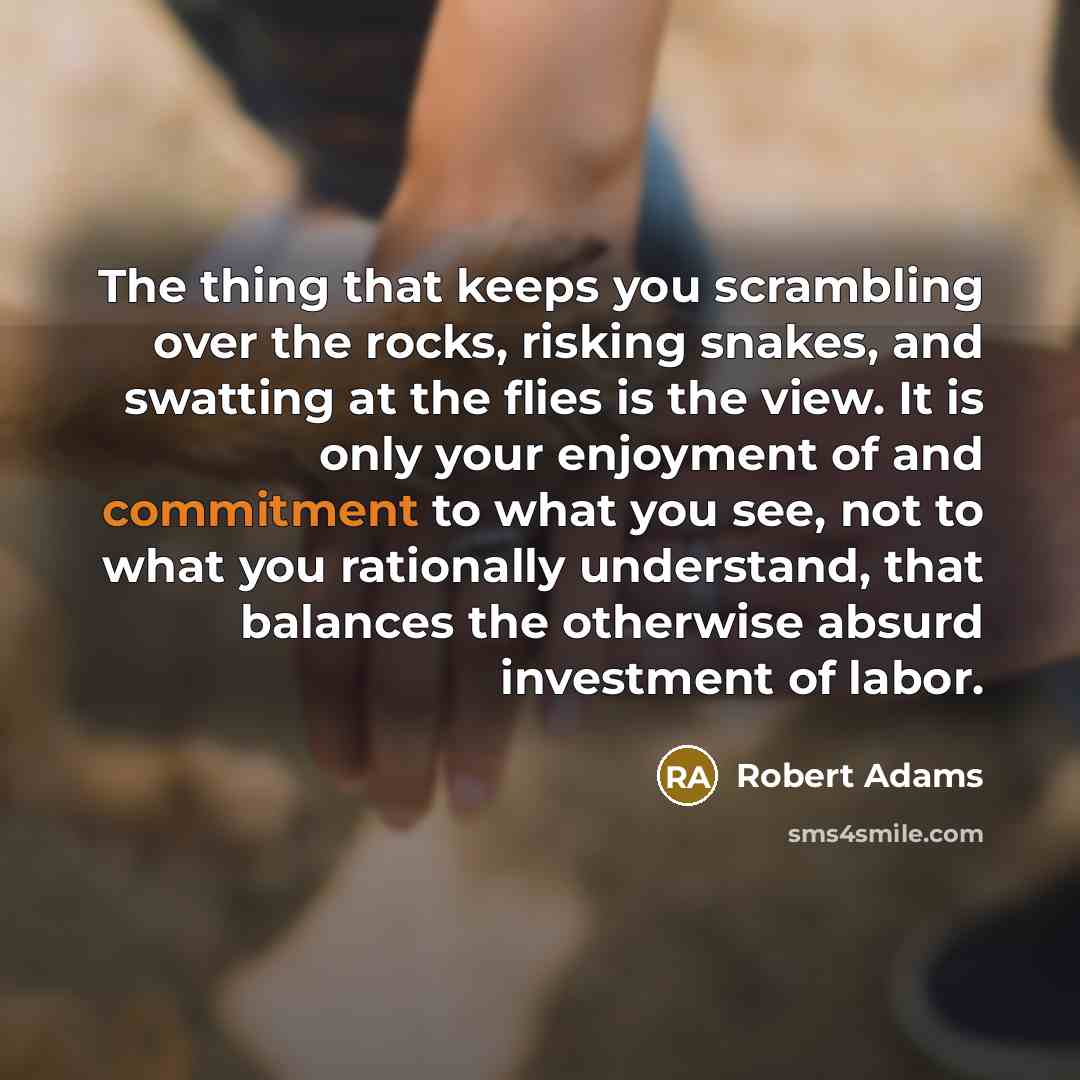 “The thing that keeps you scrambling over the rocks, risking…” quote by Robert Adams