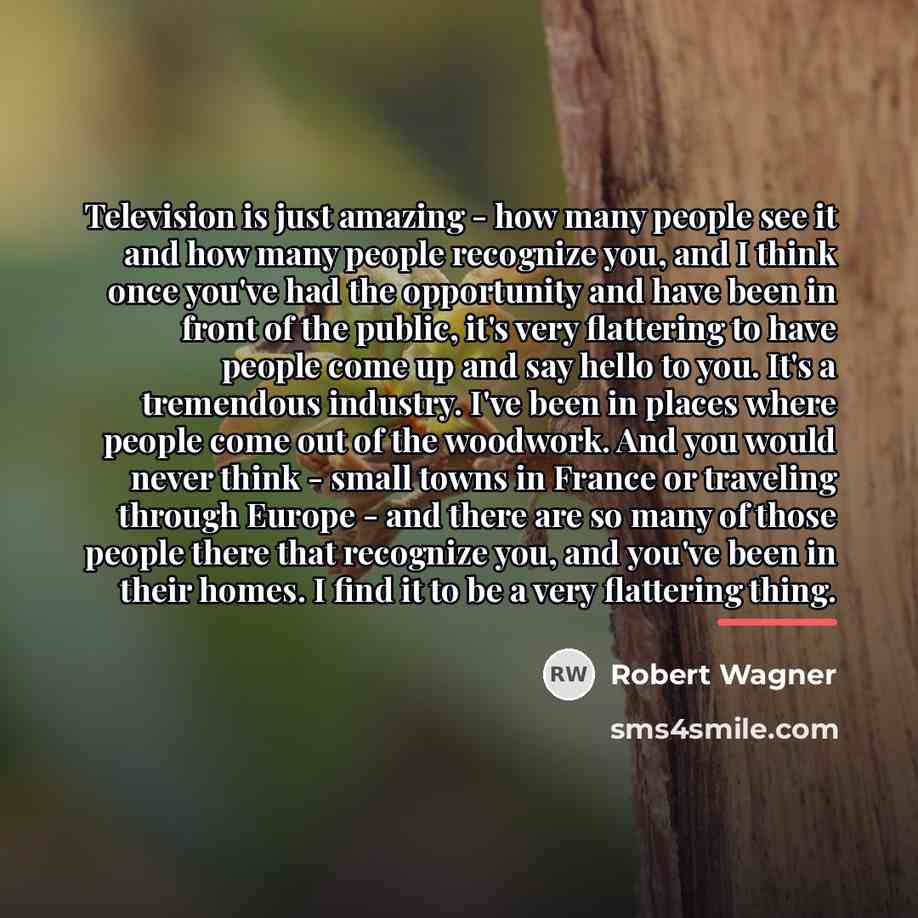 “Television is just amazing - how many people see it…” quote by Robert Wagner