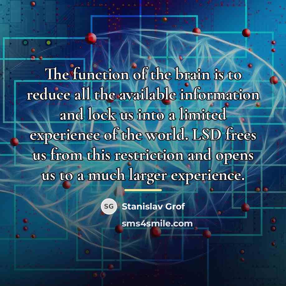 “The function of the brain is to reduce all the…” quote by Stanislav Grof