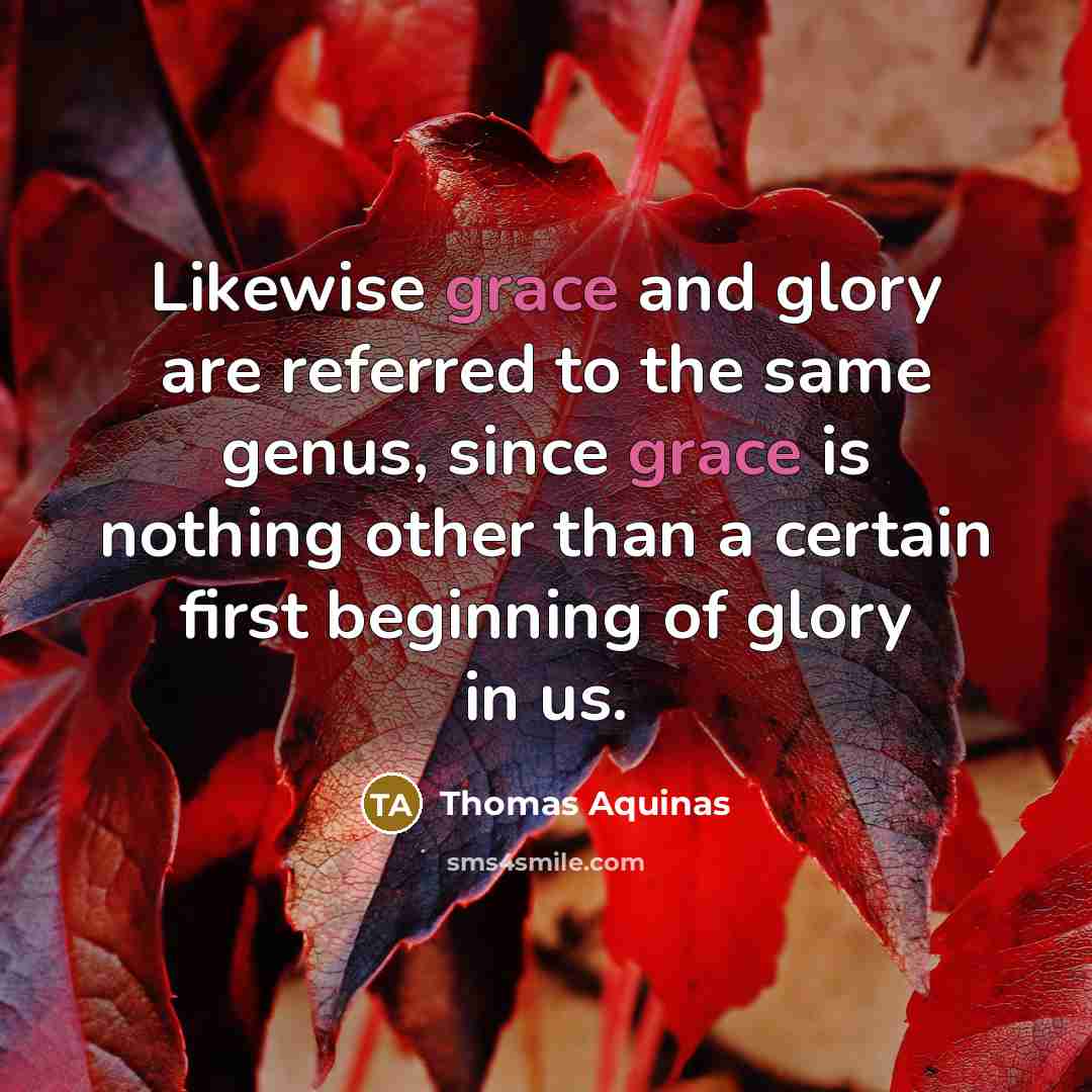 “Likewise grace and glory are referred to the same genus,…” quote by Thomas Aquinas