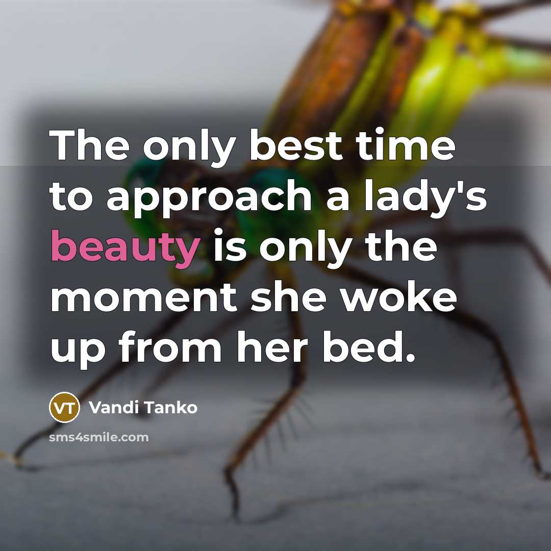 “The only best time to approach a lady's beauty is…” quote by Vandi Tanko