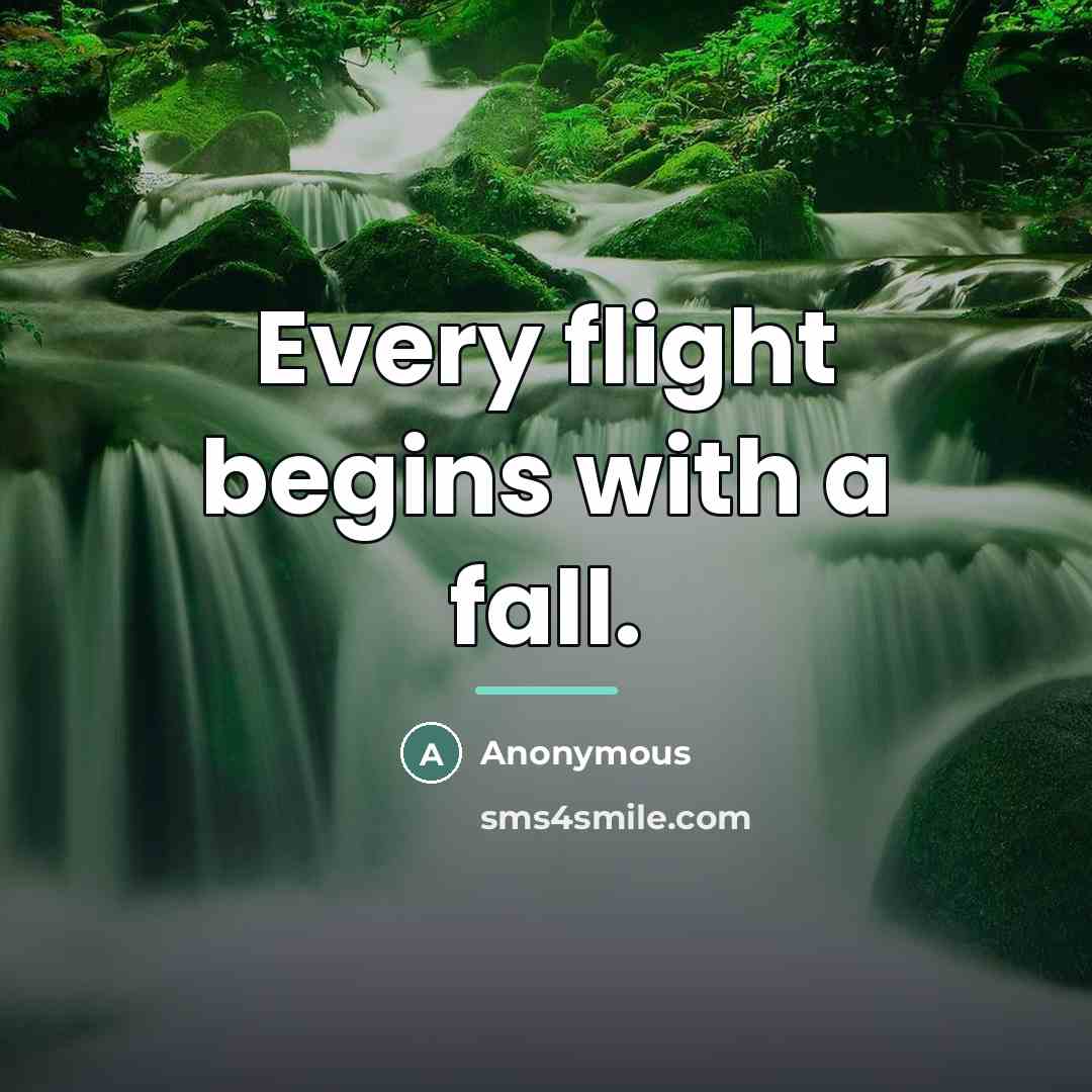 “Every flight begins with a fall.…” quote by Anonymous