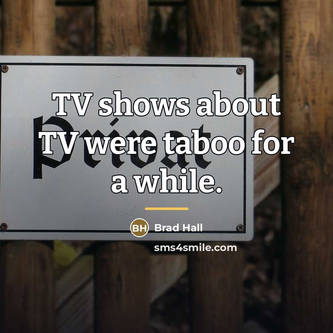 “TV shows about TV were taboo for a while.…” quote by Brad Hall