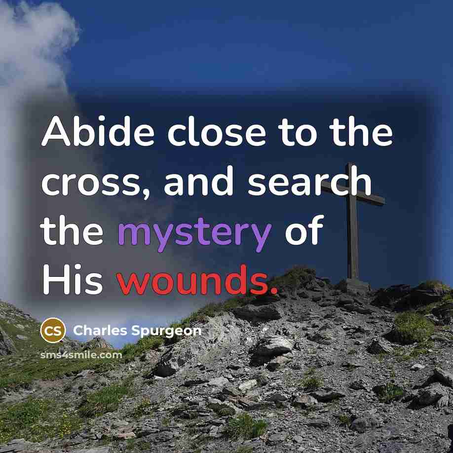 “Abide close to the cross, and search the mystery of His wounds.” quote by Charles Spurgeon