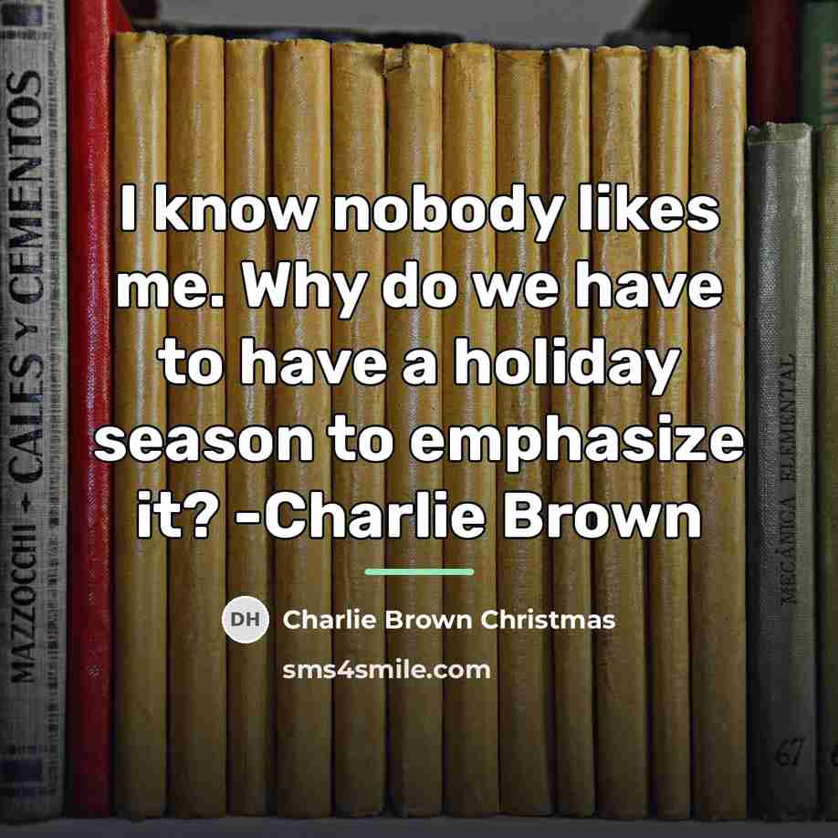 “I know nobody likes me. Why do we have to…” quote by Charlie Brown Christmas