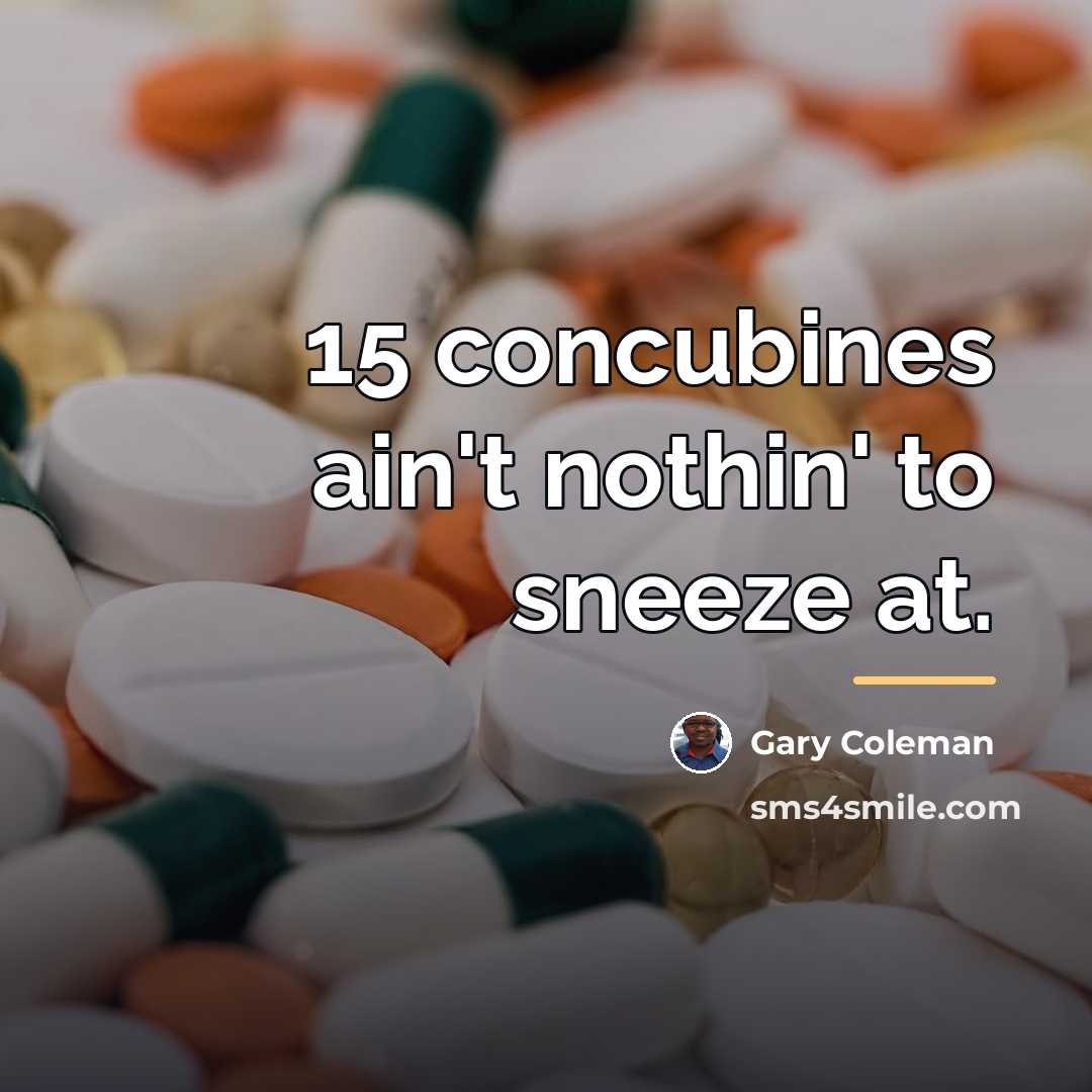 “15 concubines ain't nothin' to sneeze at.…” quote by Gary Coleman