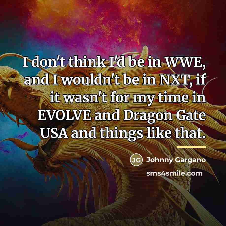 “I don't think I'd be in WWE, and I wouldn't…” quote by Johnny Gargano