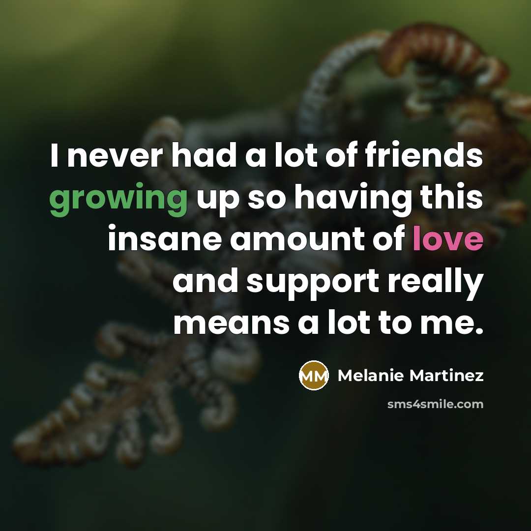 “I never had a lot of friends growing up so…” quote by Melanie Martinez