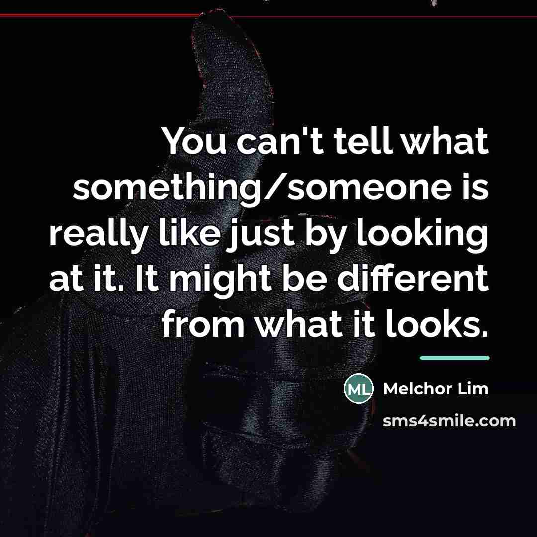 “You can't tell what something/someone is really like just by…” quote by Melchor Lim