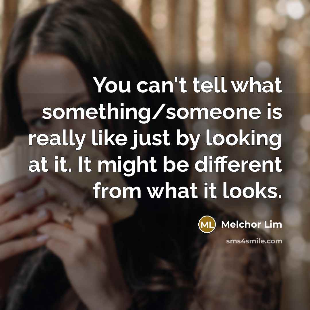 “You can't tell what something/someone is really like just by looking at it. It might be different from what it looks.” quote by Melchor Lim