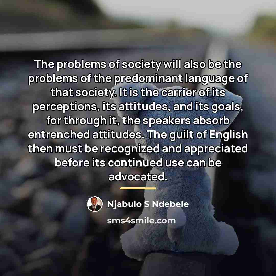 “The problems of society will also be the problems of…” quote by Njabulo S Ndebele