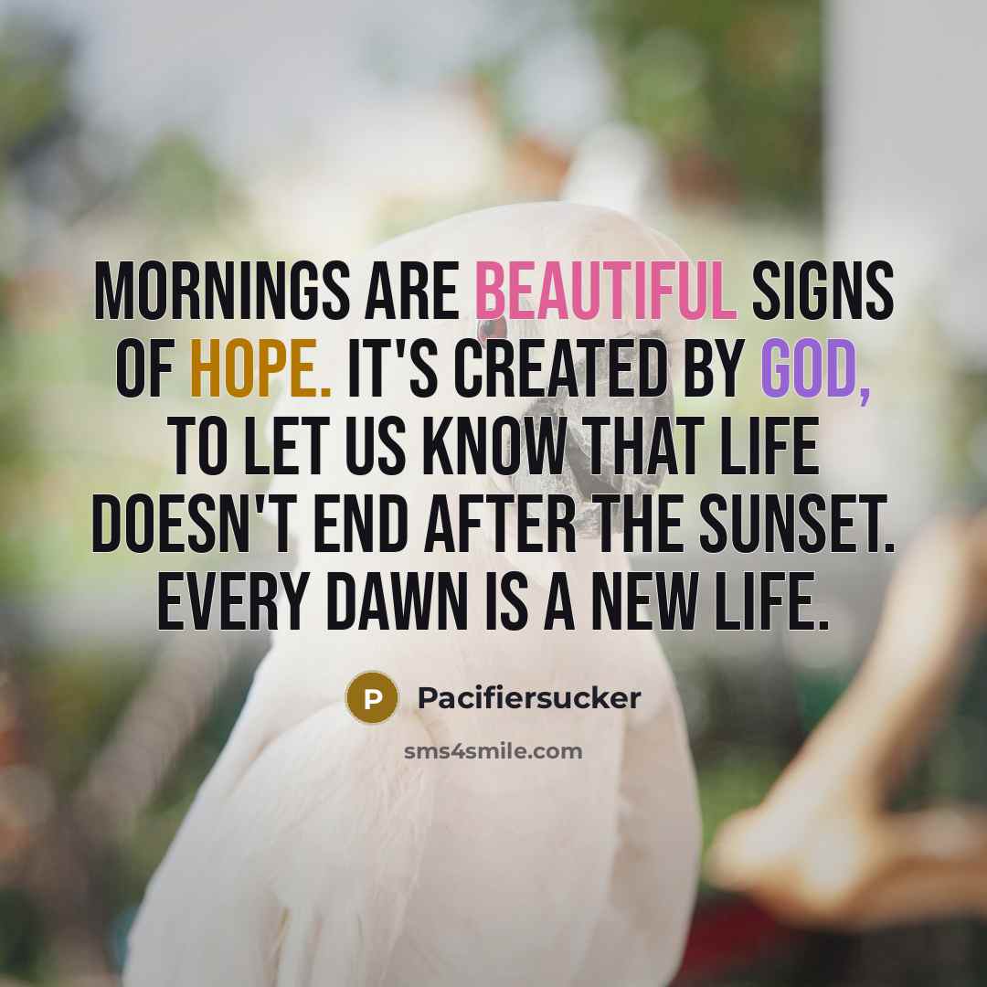 “MORNINGS are beautiful signs of HOPE. It's created by GOD,…” quote by Pacifiersucker