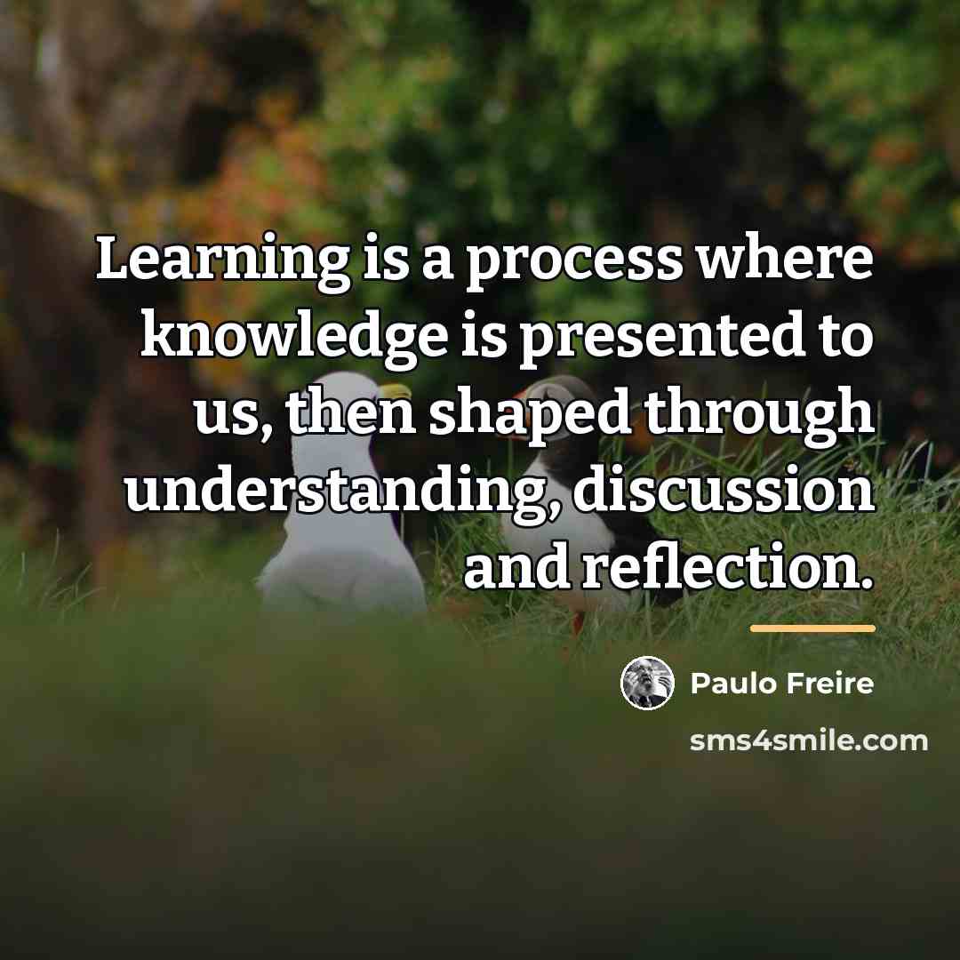 “Learning is a process where knowledge is presented to us,…” quote by Paulo Freire