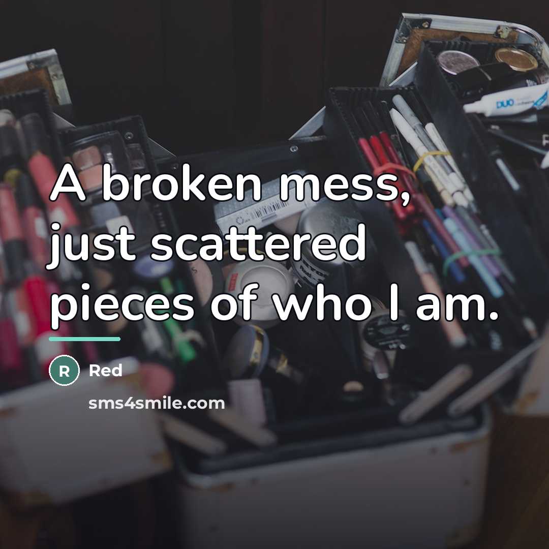 “A broken mess, just scattered pieces of who I am.…” quote by Red