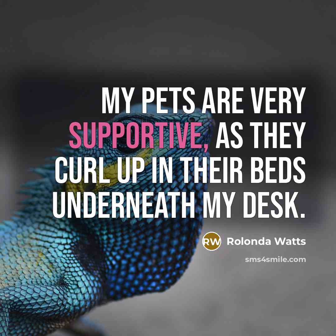 “My pets are very supportive, as they curl up in their beds underneath my desk.” quote by Rolonda Watts