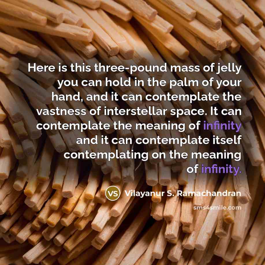“Here is this three-pound mass of jelly you can hold…” quote by Vilayanur S. Ramachandran
