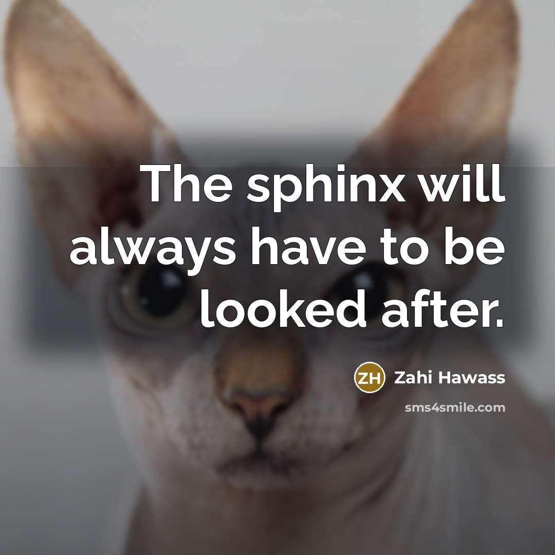 “The sphinx will always have to be looked after.…” quote by Zahi Hawass
