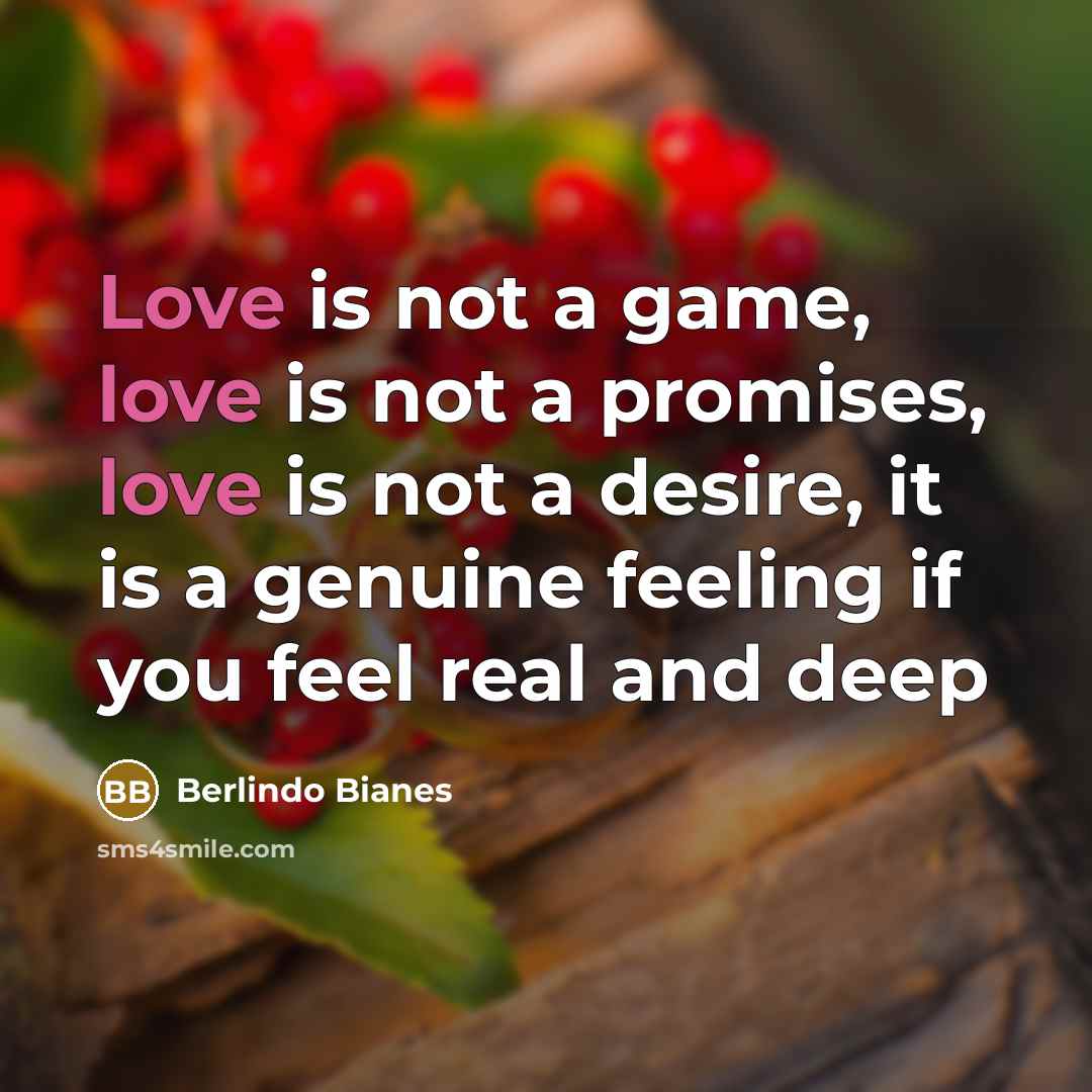 “Love is not a game, love is not a promises,…” quote by Berlindo Bianes