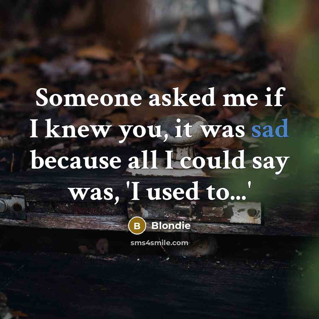 “Someone asked me if I knew you, it was sad because all I could say was, 'I used to...'” quote by Blondie