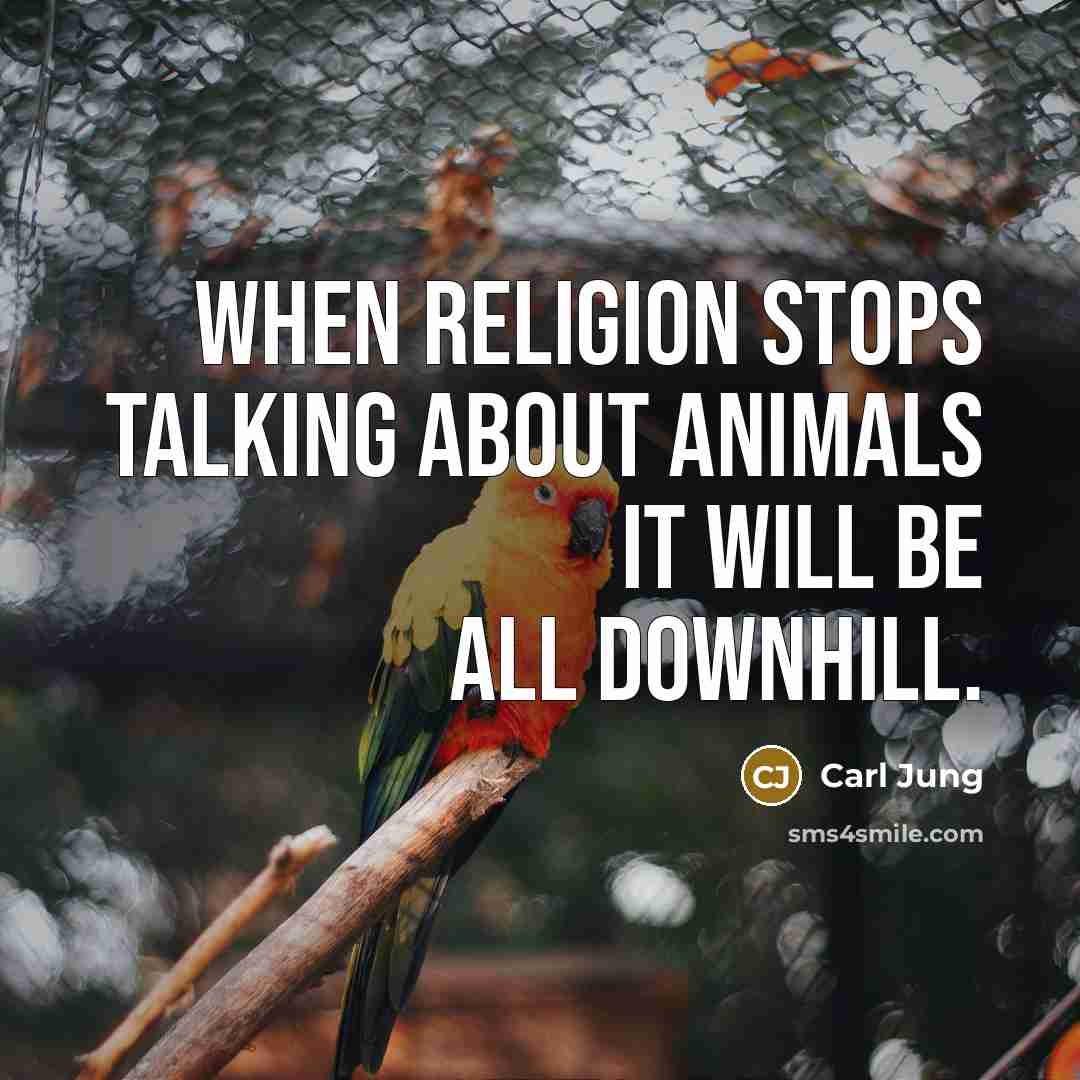 “When religion stops talking about animals it will be all…” quote by Carl Jung