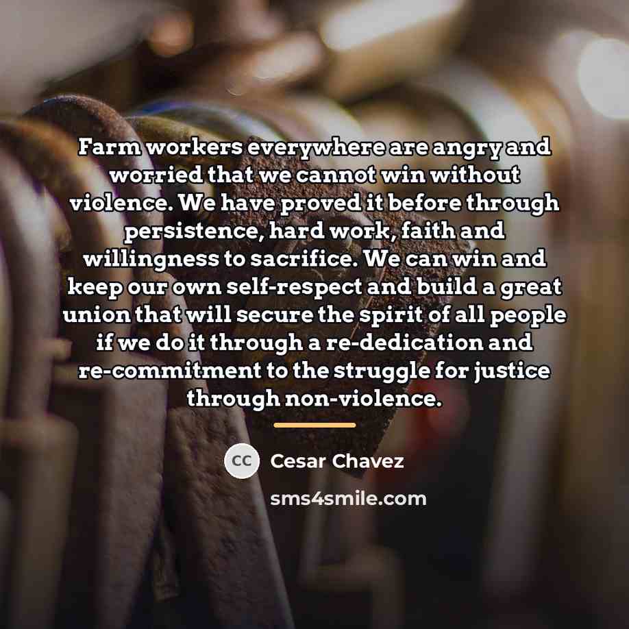 “Farm workers everywhere are angry and worried that we cannot…” quote by Cesar Chavez