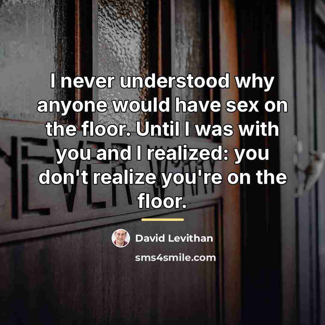 “I never understood why anyone would have sex on the…” quote by David Levithan