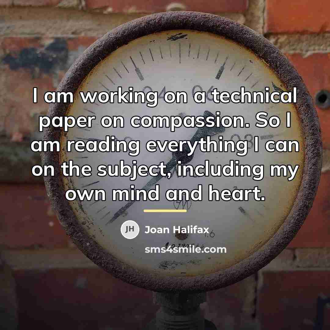 “I am working on a technical paper on compassion. So…” quote by Joan Halifax