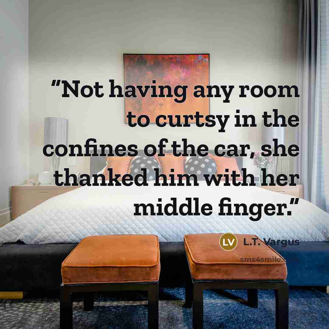 “Not having any room to curtsy in the confines of the car, she thanked him with her middle finger.” quote by L.T. Vargus